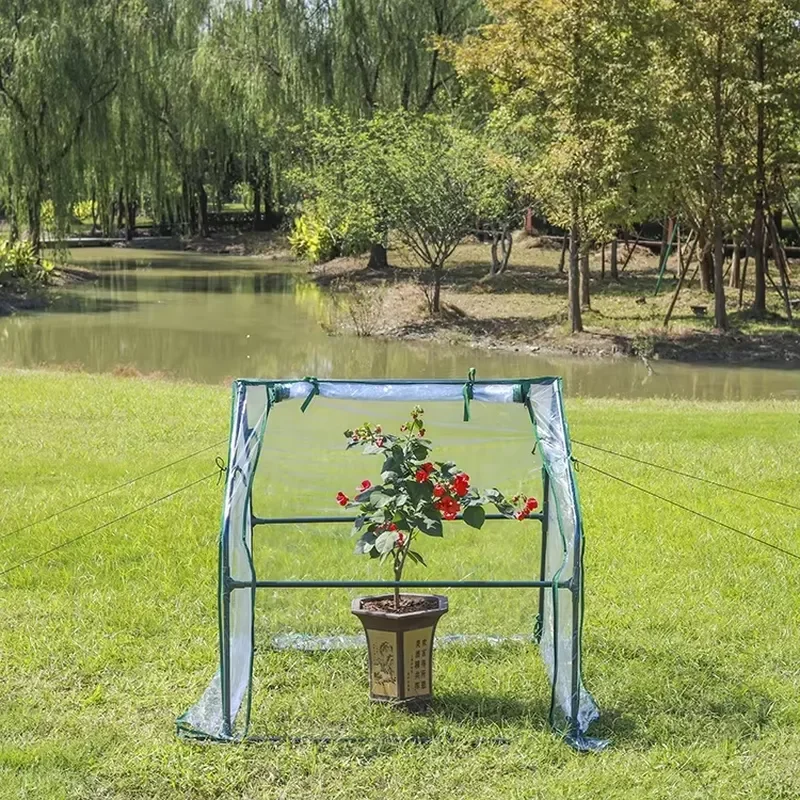 Portable Mini Steel Greenhouse Plant House with UV Protection and Eco-Friendly Design for Home and Garden Use