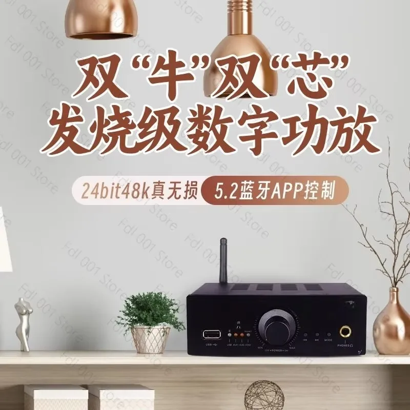 5.2 Bluetooth Lossless HIFI Audiophile Amplifier Home Digital High Power Desktop Room High Fidelity Headphone Amplifier