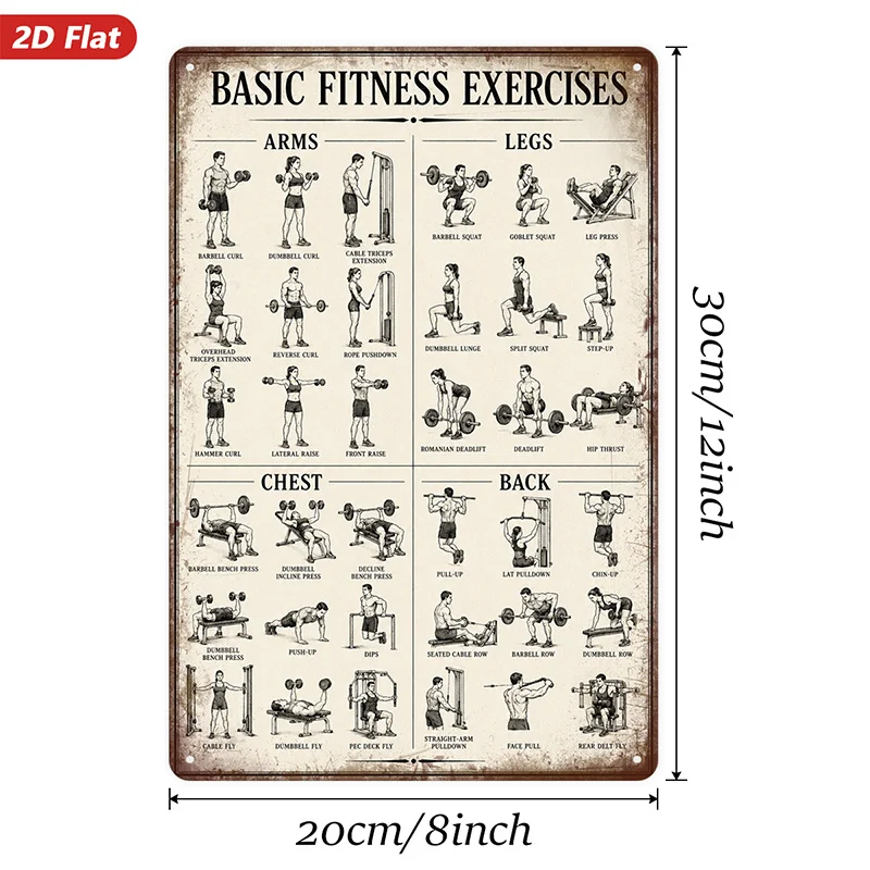 2D Flat, 1pc Metal Sign Wall Art, Vintage-Style Home Decor, Basic Fitness Exercises Illustration, Ideal for Gym, Home Gym, Safe