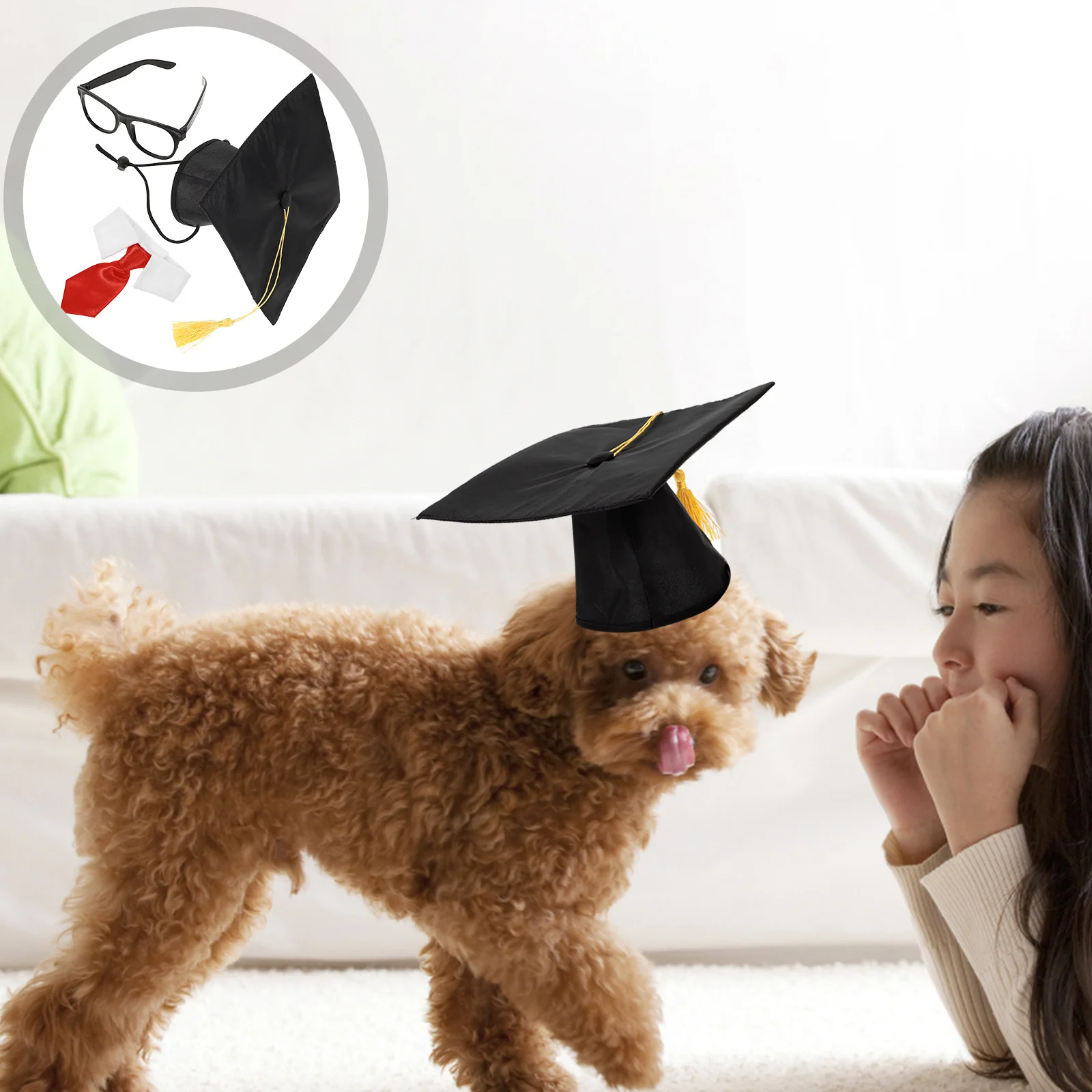 

1Set Dog Graduation Hat Outfit with Glasses Tie Pet Graduation Caps Set Adorable Comfortable Wearable for Puppy Cat Photo Prop