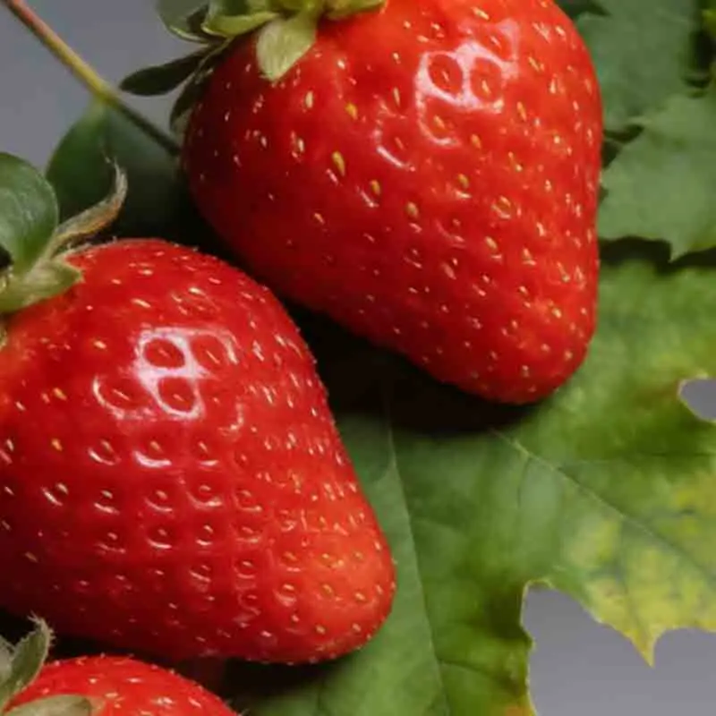 

T-MOTOR AM16A 16A 2-4S F3P ESC FPV Electronic Speed Control For FPV Drone Accessories RC