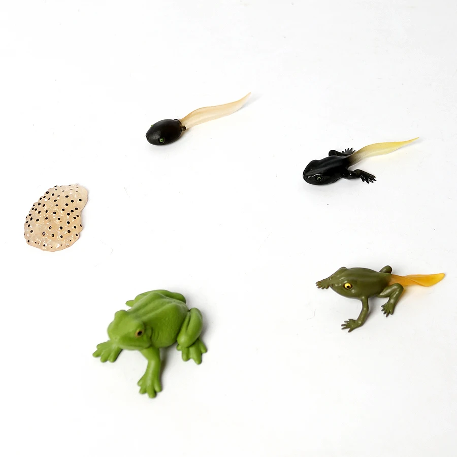 Realistic Plastic Colorful Poison Dart Frogs,Tree Frog Tadpole Rainforest Forest Animal Model Figurines Cake Topper Party Favor