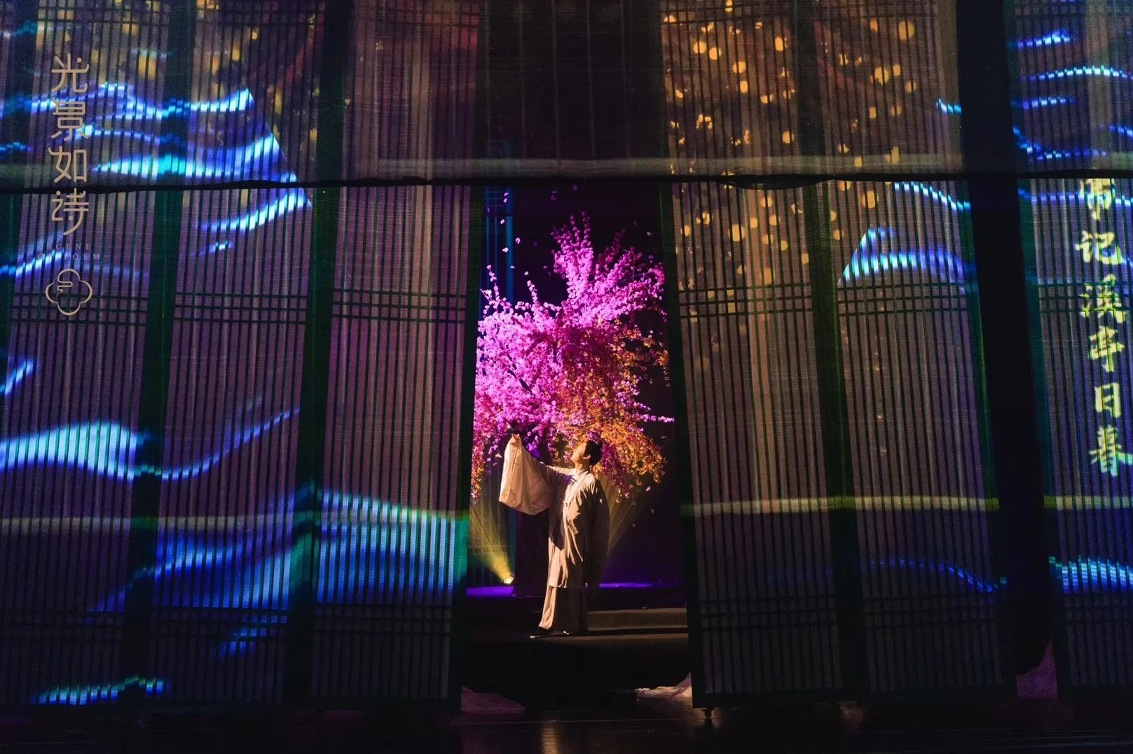 SMX SM-M 3.1x2 Meters Hologram Gauze/Holonet/Mesh Screen Portable for Big Stage Shows/Performance
