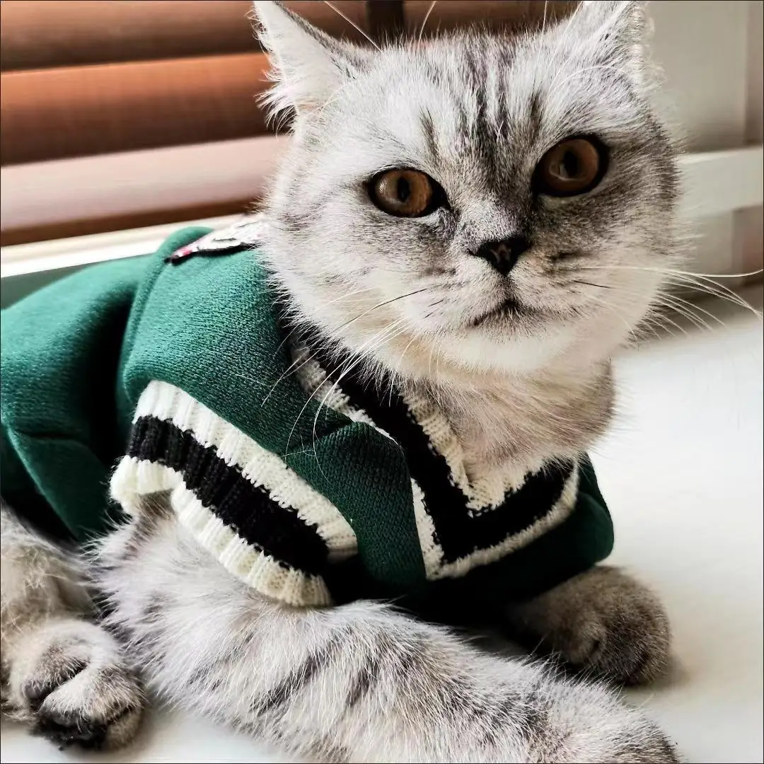 Autumn Winter Cat Warm Vest Clothes For Small Medium Dog Cats College Style Soft Cozy Kitten Sweater Jacket Pet Outdoor Outfits