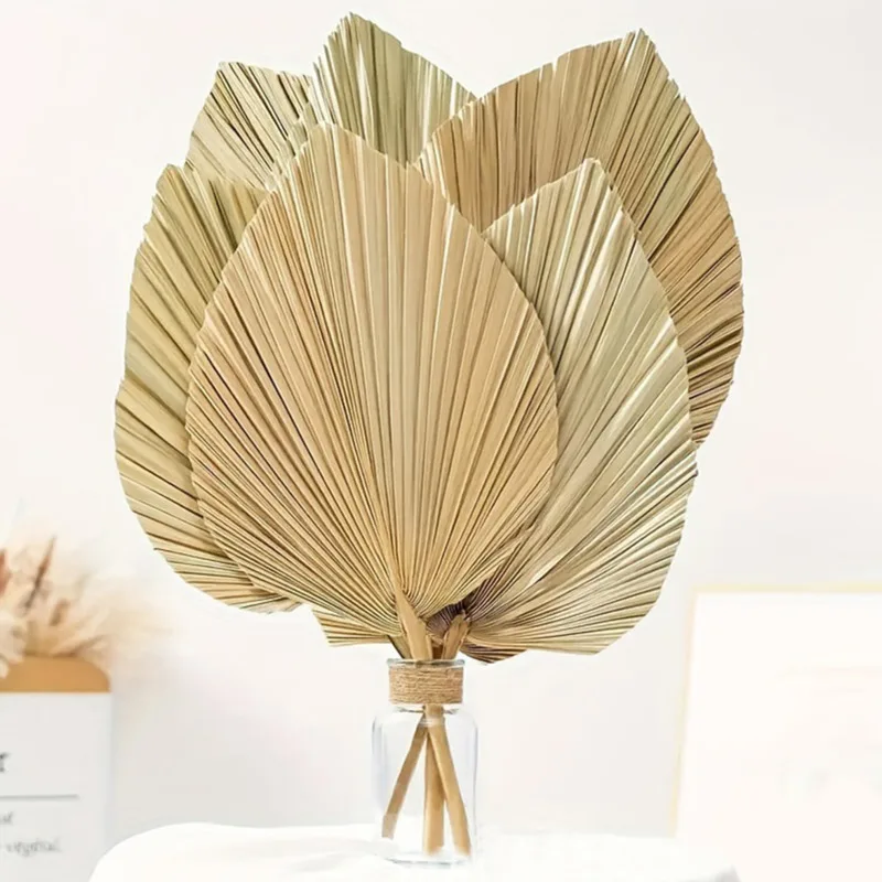 

Mini Dried Natural Flowers Palm Leaves Palm Fan Leaf Dried Flower Palm Leaves In Different Shapes DIY Wedding Home Decor