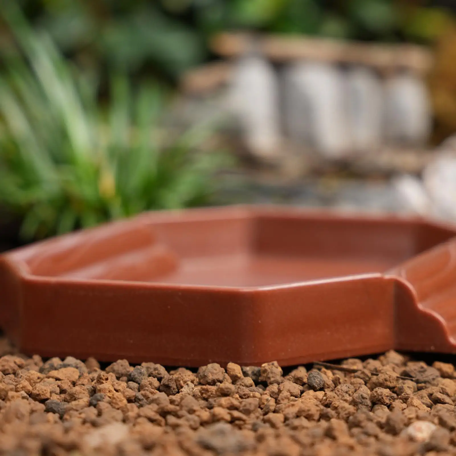 Thumbnail 3 - #5 Compare Reptile Water Bowls Before You Buy