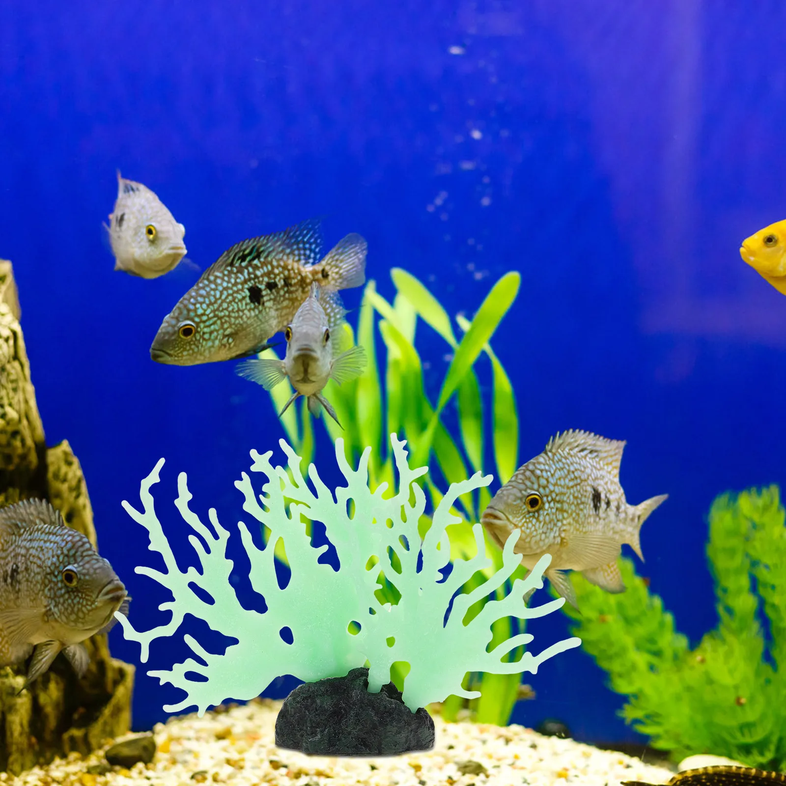

Glowing Plant 3D Resin Aquarium Reef Decoration Fish Tank Layout Prop Fluorescent Artificial Coral Figurine PVC Glow In The Dark