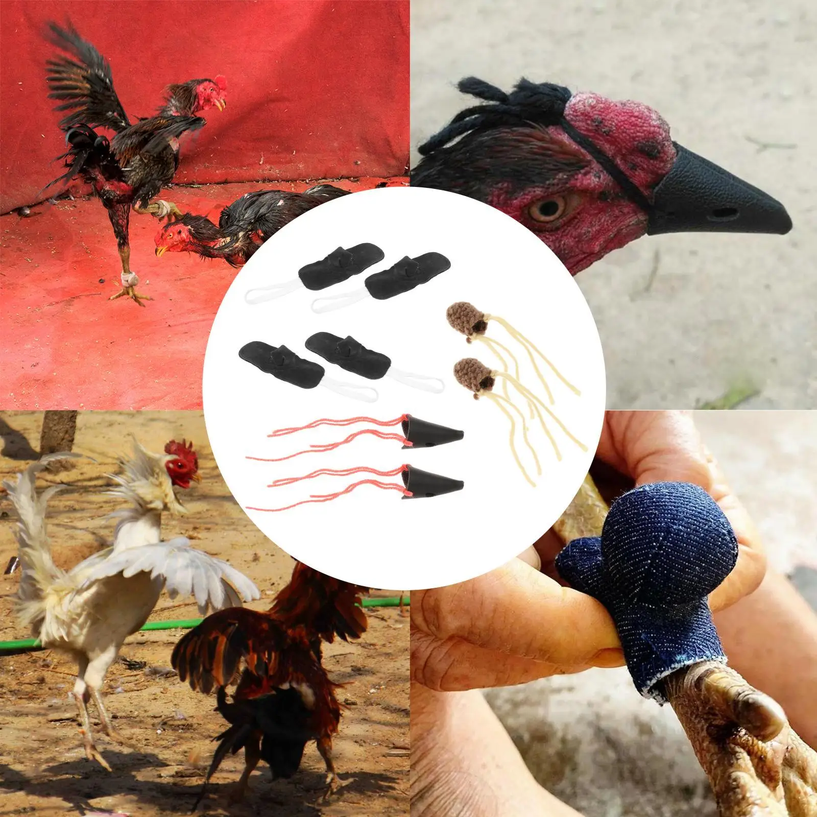 Cockfighting Supplies Chicken Fighting Accessories Farm Equipment