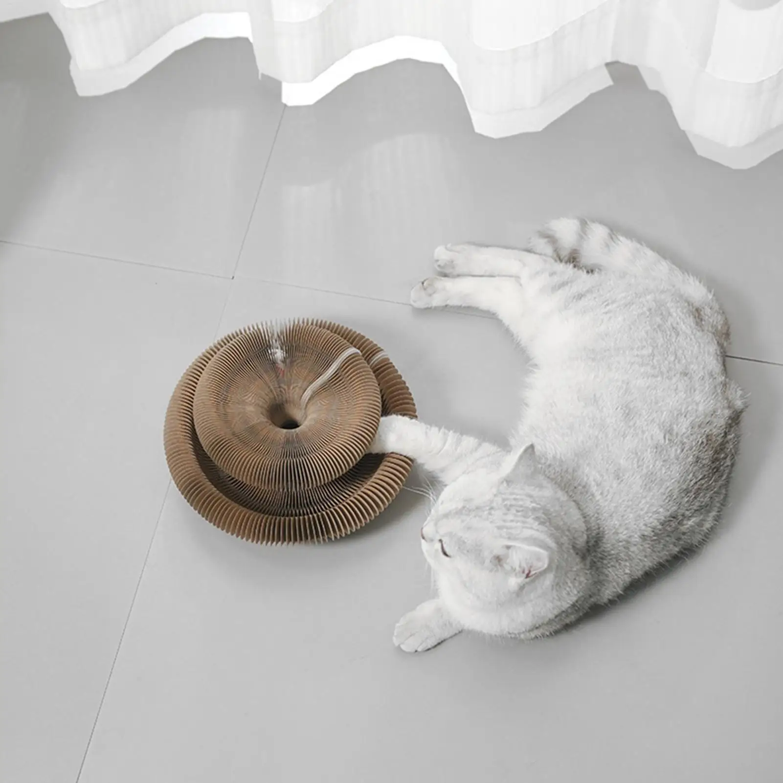 لوحة خدش للقطط من ماجيك أورجان، لعبة تفاعلية للقطط مع كرة قابلة للتطوير، لعبة خدش للقطط المموجة المستديرة، مستلزمات ألعاب هريرة