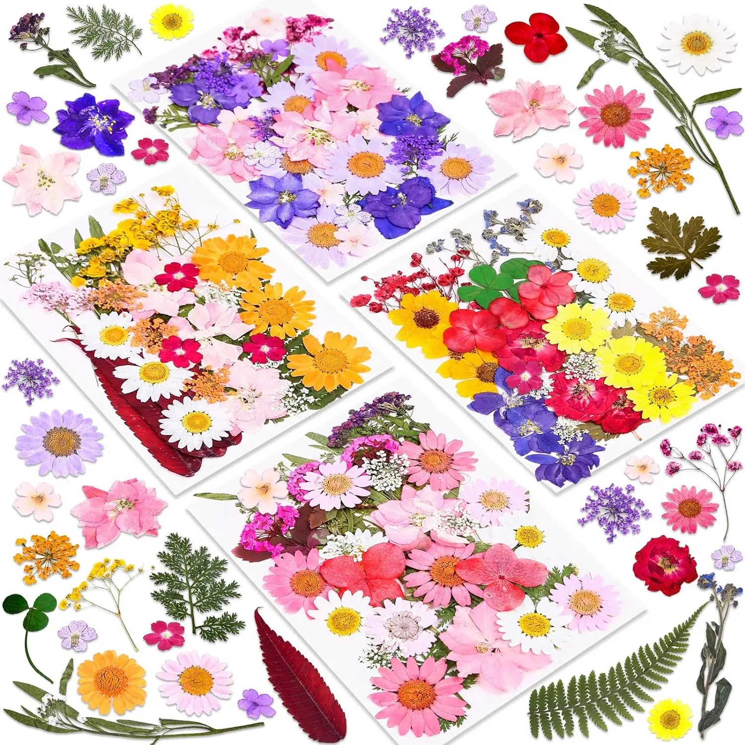

Pcs Dried Pressed Flowers for Resin, Real Pressed Flowers Dry Leaves Bulk Natural Herbs Kit for Scrapbooking DIY Art Crafts, Epo