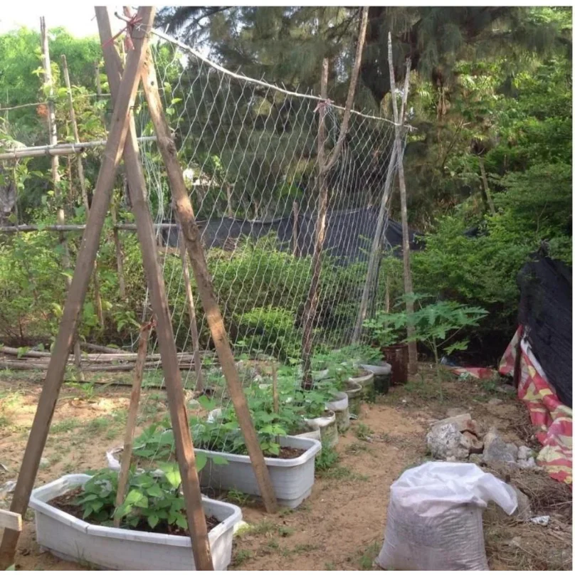 Horticultural Plant Climbing Net, Polyester Woven Net, Suitable for Other Climbing Plants Such As Tomatoes, Beans, Grapes, Etc