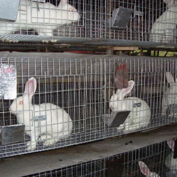 2023 Hot Sale Low Price Integrated Rabbit Cage Stacking Rabbit Cages for Sale Philippines