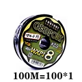 100M