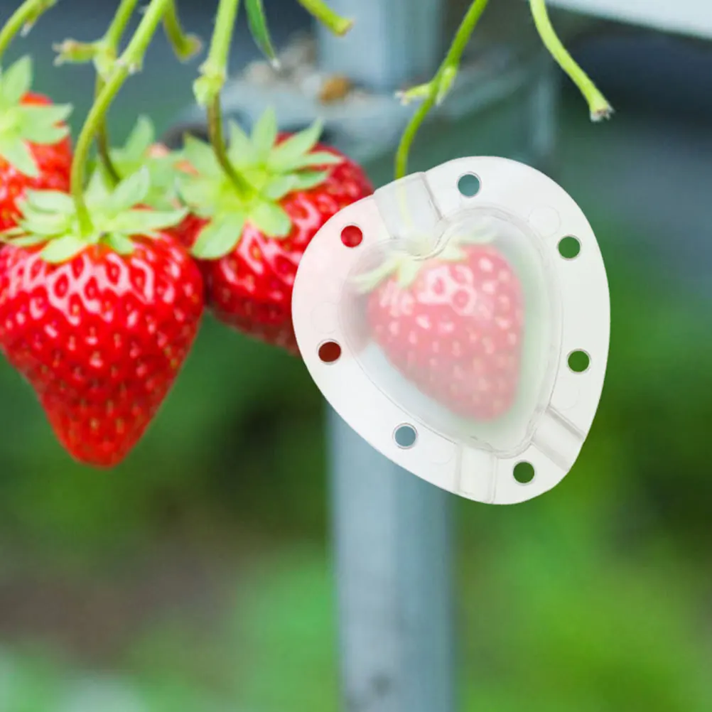

Reusable Fruit Shaping Mold Heart Shape for Tomatoes Strawberries Garden Tool Creative Vegetable Growth Forming Mould