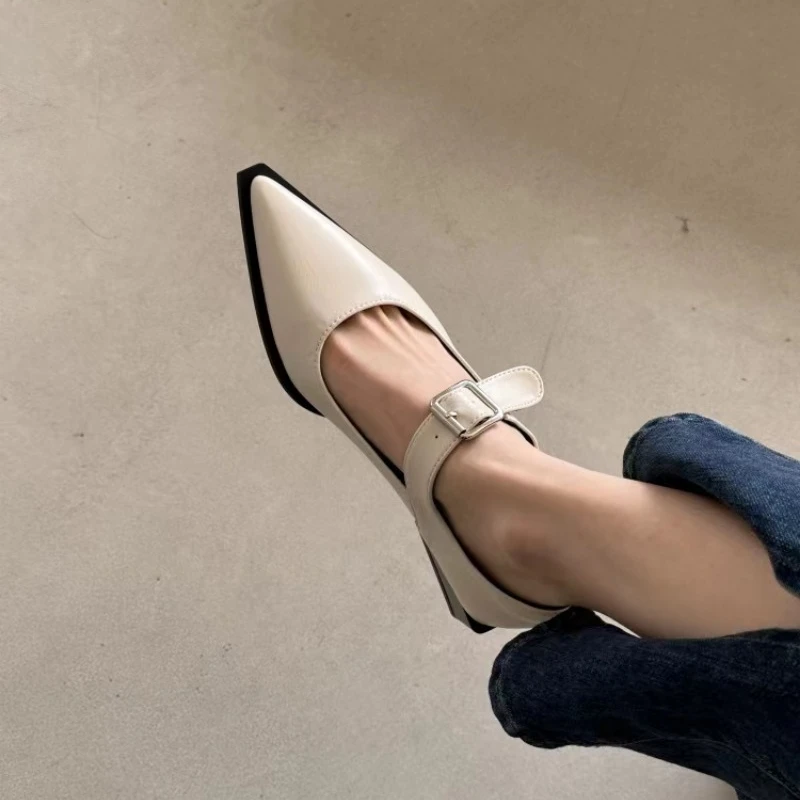 Spring Summer Pointed Toe Women Mary Jane Shoes Women Fashion Elegant Low Heel Shoes Ladies Casual Belt Buckle Pumps