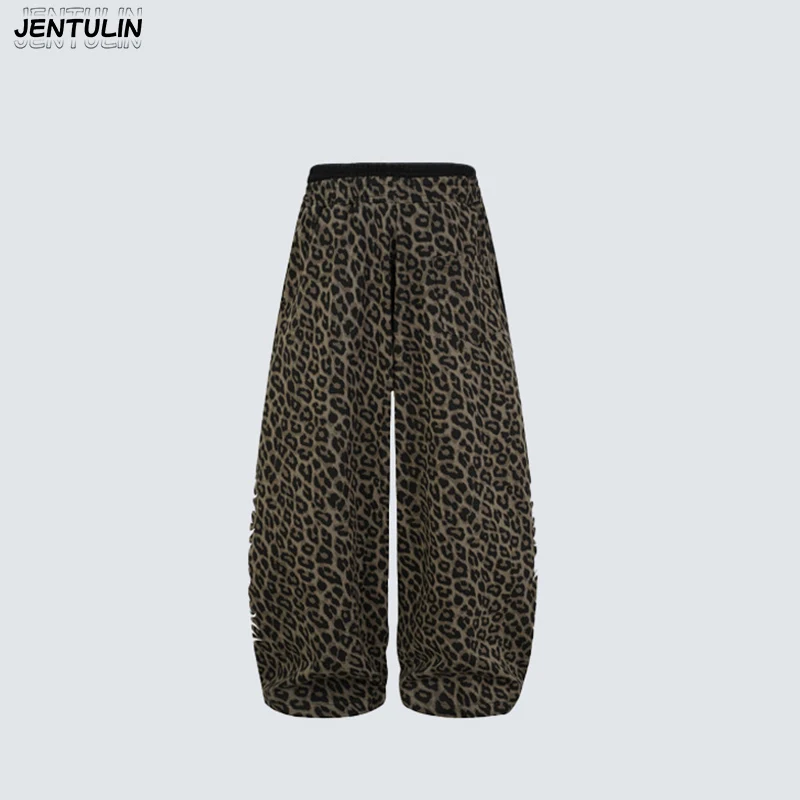 American High Street Hip-Hop Dance Leopard Print Pants Jazz Dance Casual Sweatpants Loose Letter Printed Hip-Hop Pants Y2k