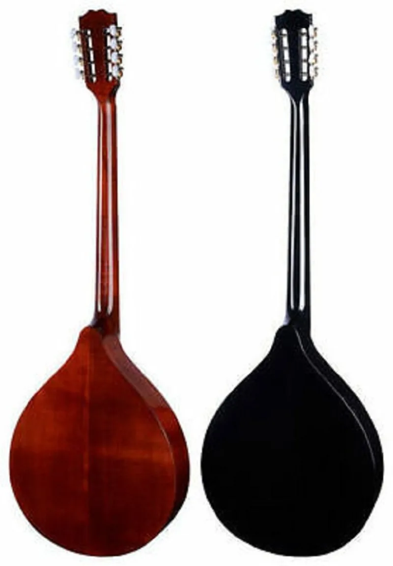 Romanian-Irish buzouki is a professional plucked string instrument