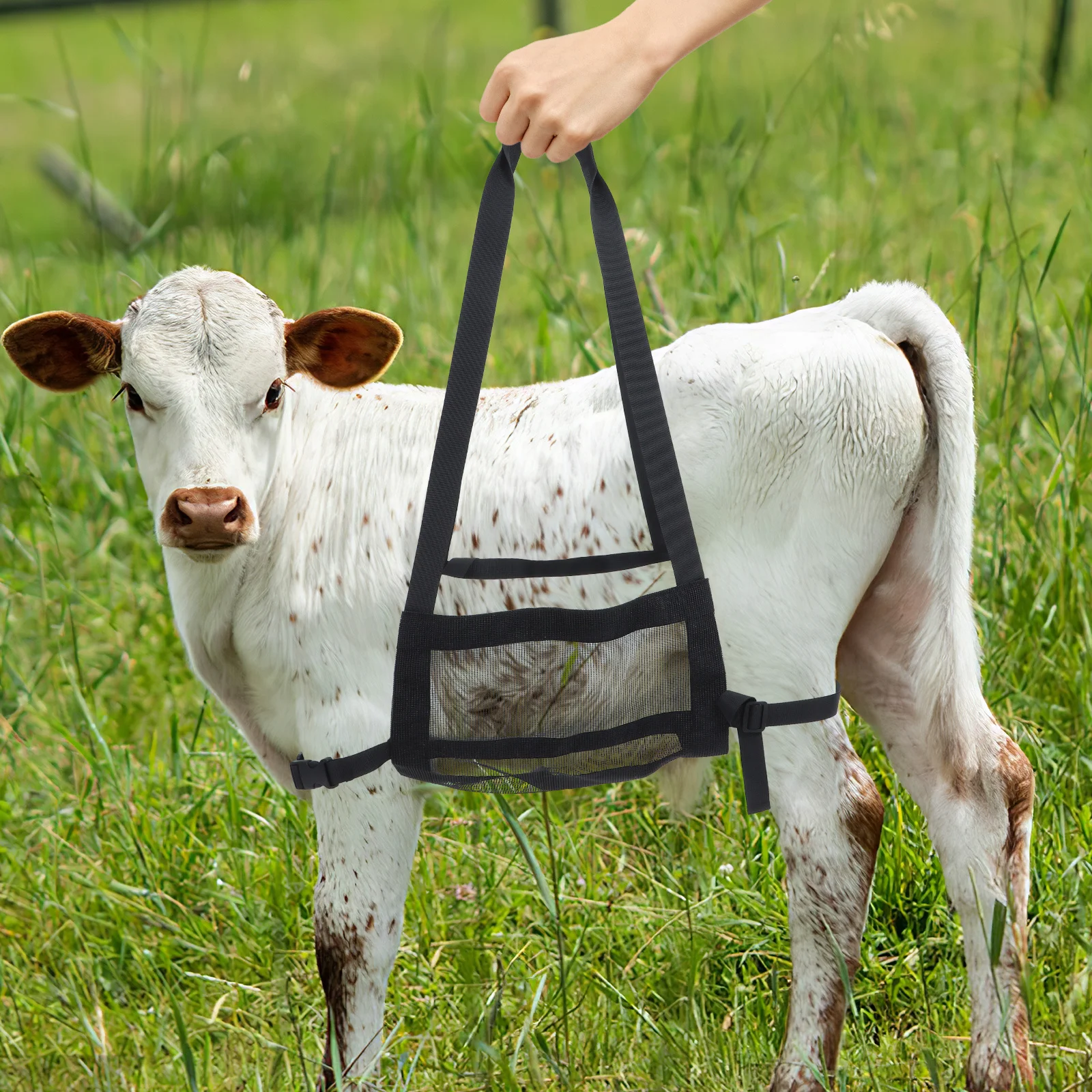 

Livestock Weighing Sling Scale for Small Animals Goat Sheep Lamb Dog Lifting Pet Weight Measurement Device