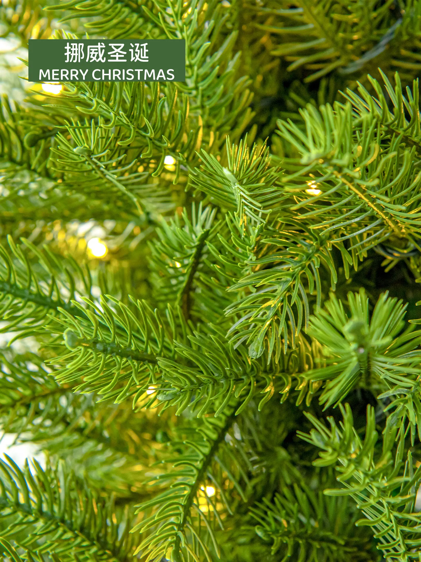 Factory Direct Compatible with Christmas Tree Pure PE Encryption High-end Luxury Hotel Interior Home Holiday