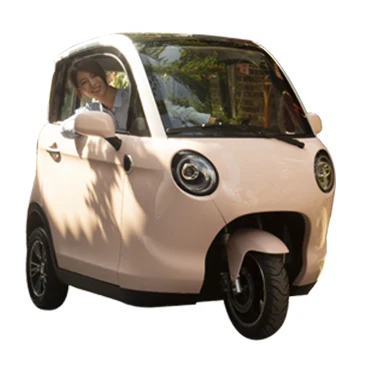 EEC approval L2e enclosed electric tricycles three wheel adult