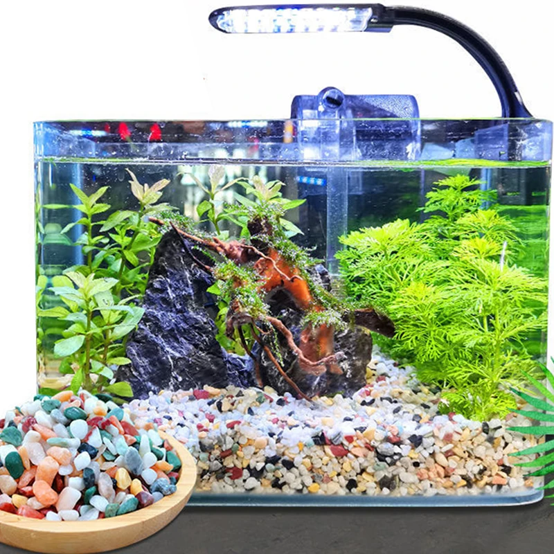 Natural Gravel Stone 200~1000g - Aquarium Plant Gravel ulasan dan harga