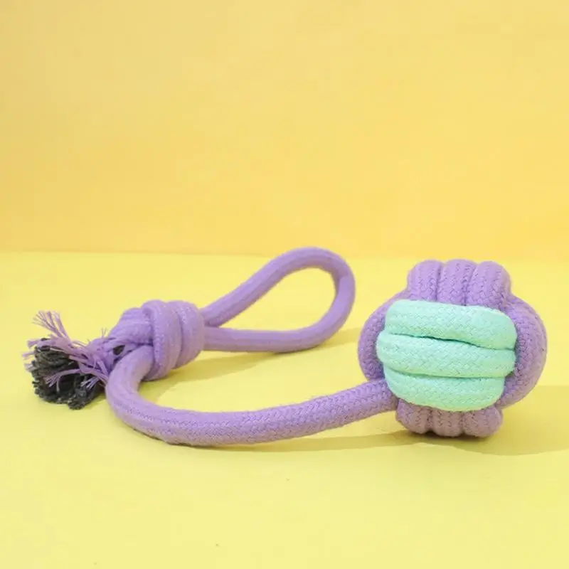 Rope Toy For Dogs 11PCS Cute Teething Chew Toys Portable Dog Toys For Indoor & Outdoor Cotton Pet Toys For Medium Large Dogs