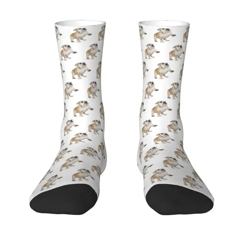 

Novelty Printed English Bulldog Puppy Socks for Women Men Stretch Summer Autumn Winter Pet Dog Lover Crew Socks