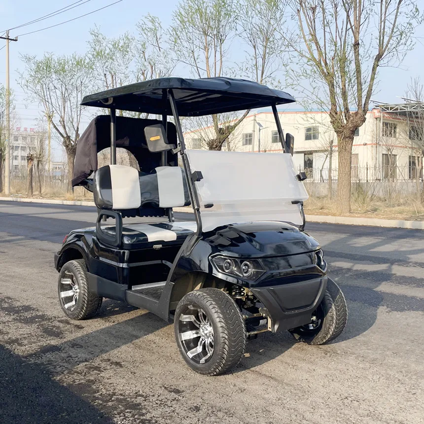 Street Legal Electric Car for adults 60/48/72V Kit Golf Electric Buggy Travel Speed 40-45 km/h Customizable Golf Cart