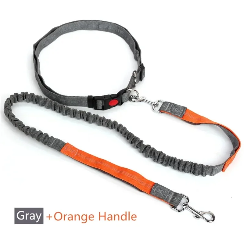 AB47-Pet Elasticity Retractable Dog Leash Adjustable Waist Rope Hand Free Running Jogging Cycling Big Dogs Lead