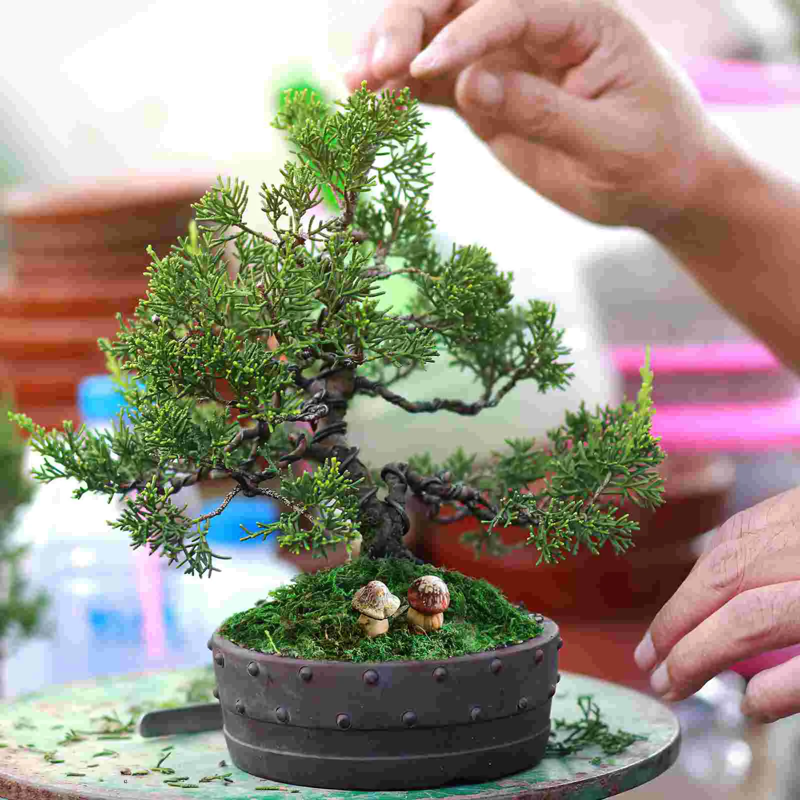 Terrário decoração musgo para artesanato jardinagem falso bonsai seco decorativo verde artificial