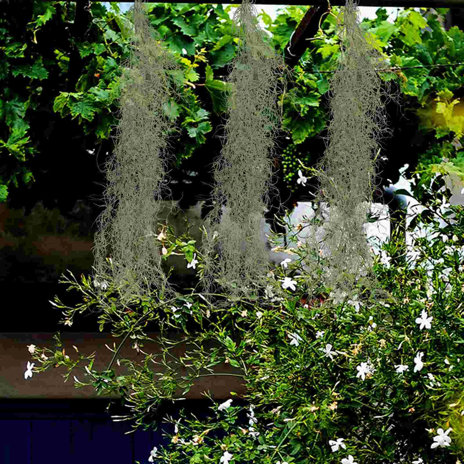 Flores secas artificiais simples e práticas decoração de musgo para artesanato planta em vaso de torra preservada de plástico pendurado