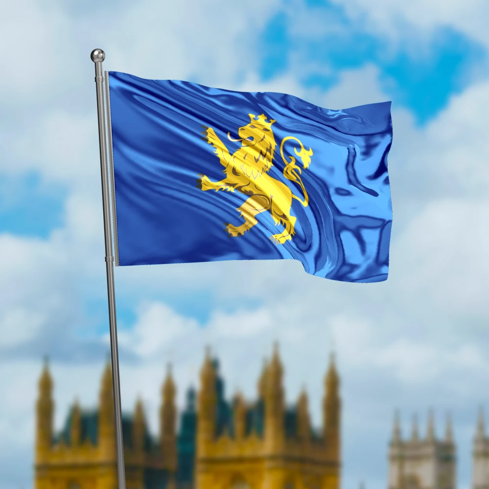 3x5 Ft Lviv Oblast Flag Vivid Color an oblast of Ukraine Flags Polyester with Brass Grommets