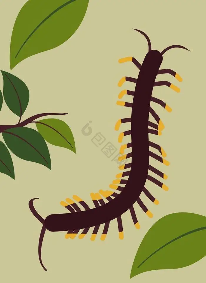 

Алюминиевые диски Beadlock 2,6 дюйма 12 мм/17 мм для шин RC Crawler Axial 1/10 1/7 1/8 MK07 RC Car