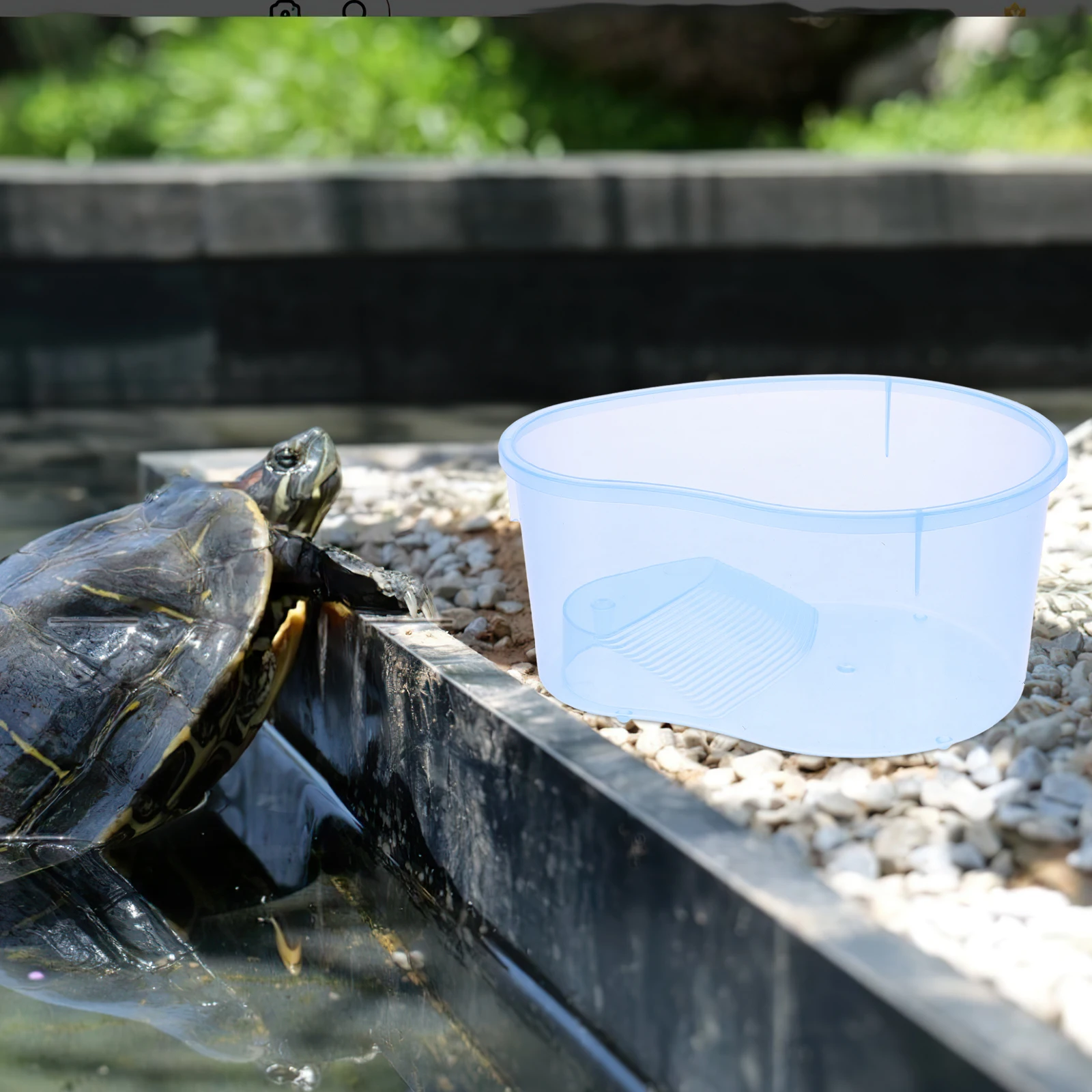 

Turtle Tank for Indoor Translucent Design with Drying Platform Non-Toxic Wear-Resistant Healthy Habitat Small for Turtles