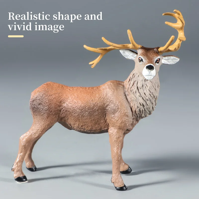 نموذج غزال الغابة الصلبة - لعبة حيوانات محاكاة واقعية للحياة البرية هدية عيد ميلاد تعليمية للأطفال #6