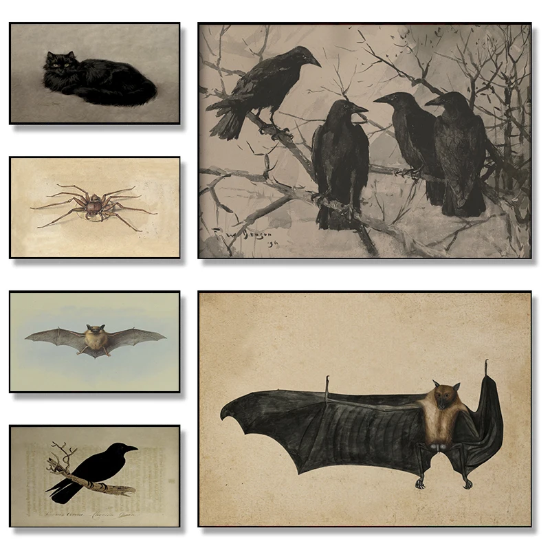 Vintage Spider Antique Bat Raven Moth Butterfly Gothic Art Poster Canvas Painting Wall Art Picture for Room Dark Academia Dec