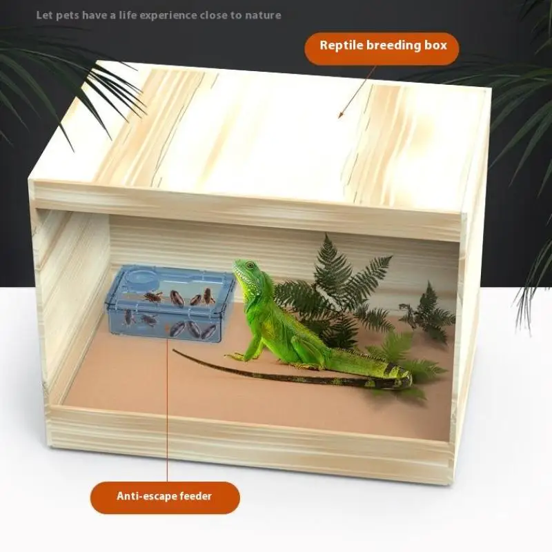 【E】Pet Reptile Lizard Turtle Transparent Feeder Anti-Flucht-Futternapf Wurm Live Container Reptile Pet Bowls Feeder Pet Supplies – Detail 6