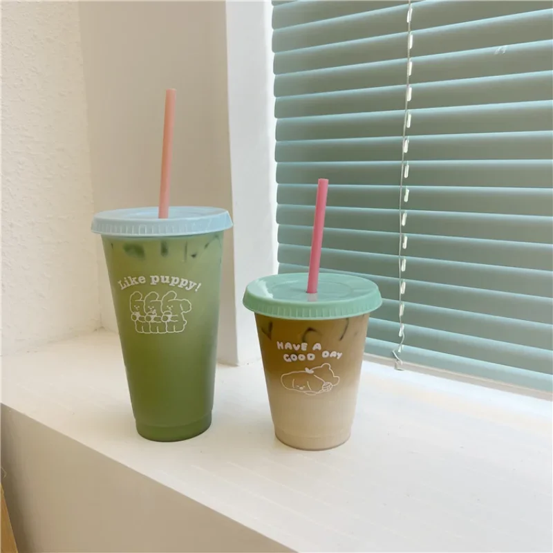 New Cute Plastic Water Bottle For Iced Coffee Tumbler With Straw and Lid Kawaii Juice Milk Tea Reusable Cups 480ML-700ML