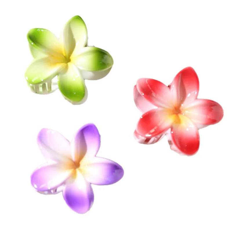 Fermaglio per capelli con fiore squisito di fascia alta Plumeria in colore sfumato