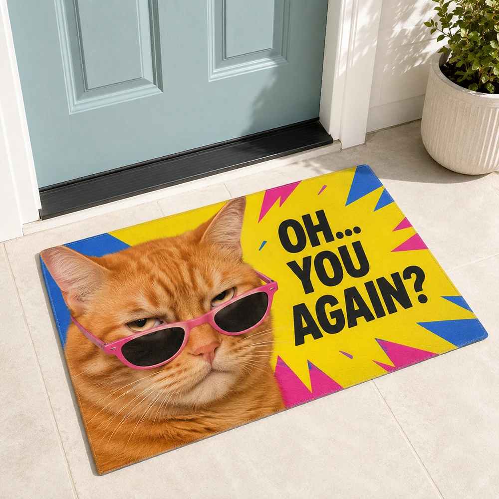 Sarcastic Cat Entrance Rug Oh You Again Washable Non Slip Absorbent Floor Doormat for Bathroom Indoor Unique Friend Gift