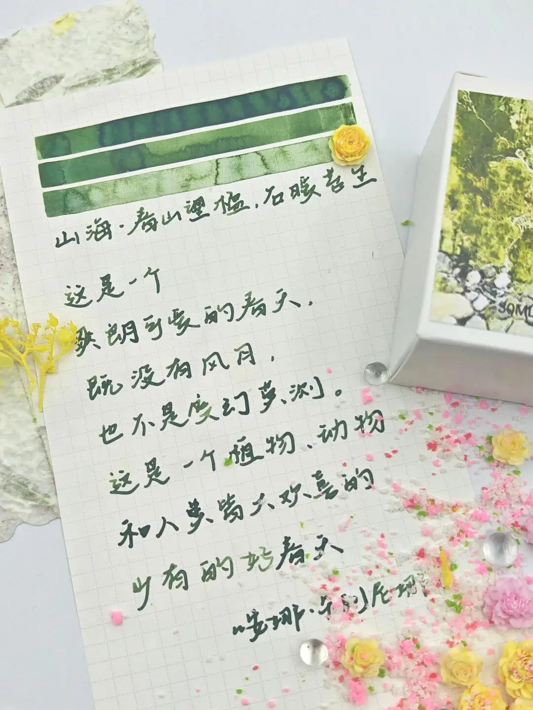 

Чернила для лабораторий Shanhai, для окрашивания камней, покрытых мхом, хроматографические чернила для затенения 30 мл