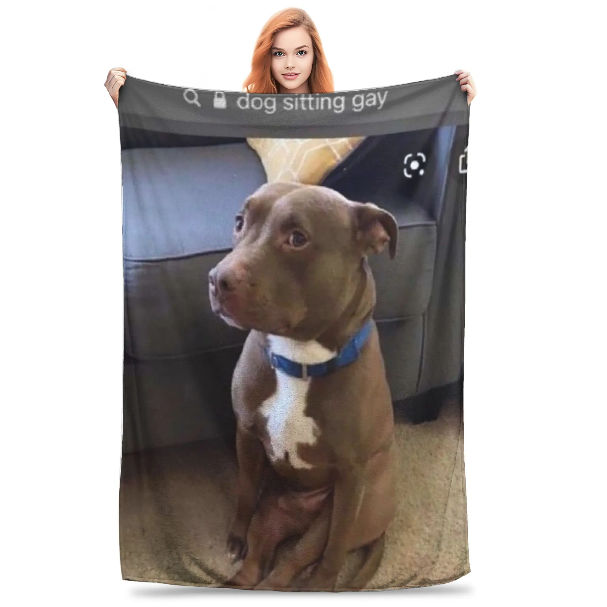 dog sitting gay Blankets Soft Warm Flannel Throw Blanket Cover for Bed Living room Picnic Travel Home Sofa
