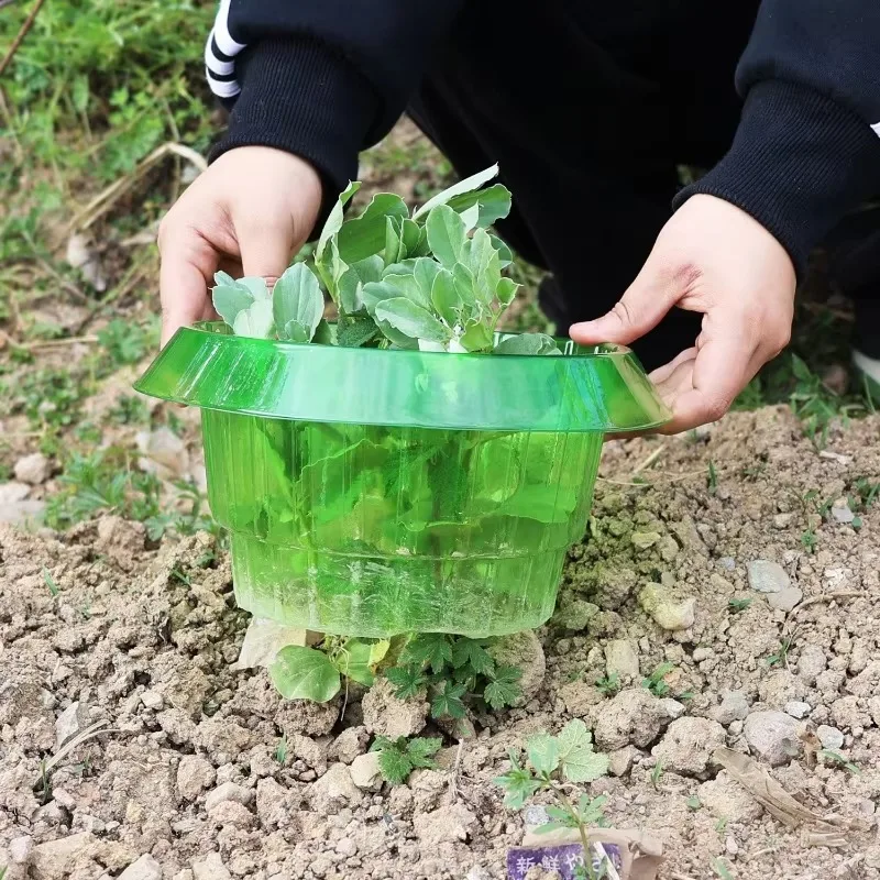 Plants Slug Protection Rings Guard Flower Pot Pest Control Trapper Green Planter Vegetables Cover Plant Snail Collar Garden Tool
