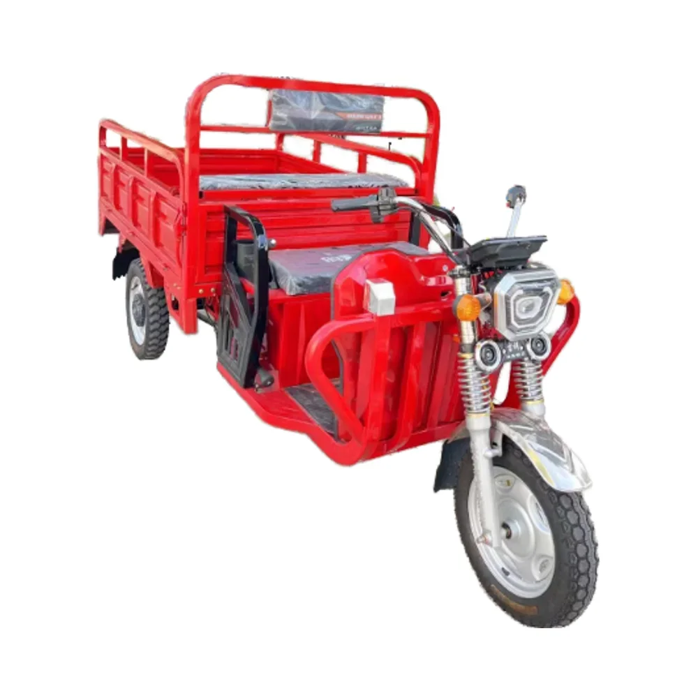 

China Cheap Long Range Three Wheel Electric Bike Electric Tricycle Canada