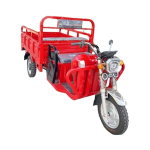 طويلة المدى رخيصة ثلاث عجلات دراجة كهربائية دراجة ثلاثية العجلات من الصين كندا أفضل 8 دراجات كهربائية مستعملة مبيعا للبيع - No5