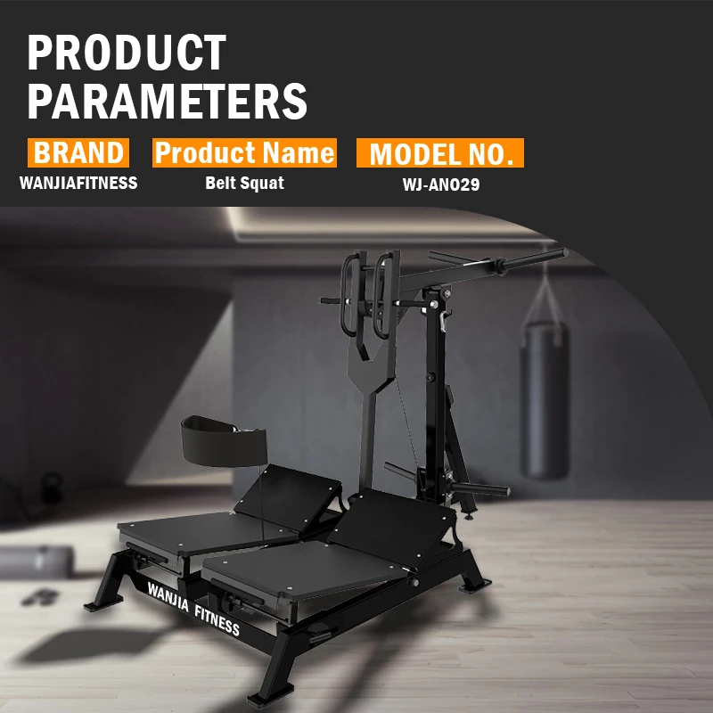 Turnkey Gym Setup Strength Training Zone Belt Squat Lever Machine for Ready-to-Open Gym Kit and Boutique Studio Leg Training