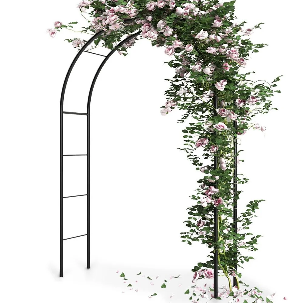 Pergola de jardin en métal, 145x235 cm
