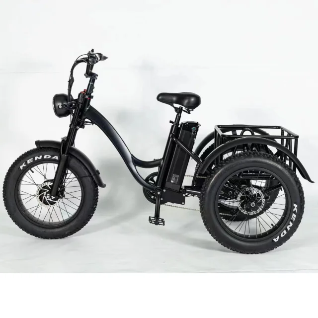 Remote Chinese Tricycle Product Electric Tricycle for Adults