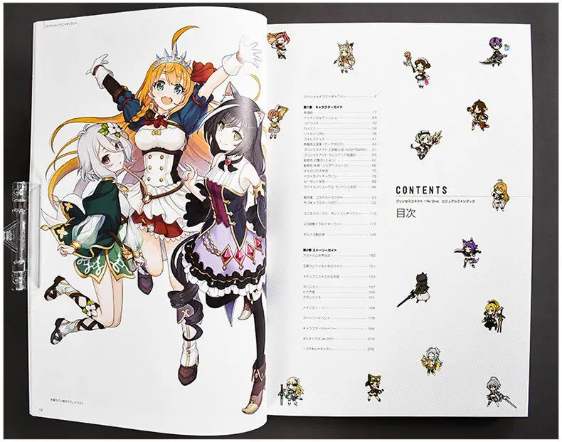 ‌Princess Connect! Re:Dive‌ Official Setting Collection プリンセスコネクト! Re: Dive ビジュアルファンブック Imported From Japan