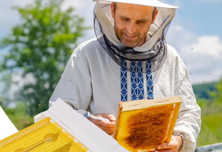 

Bee Hives Insulation Bee Breeding Box Home Gardening Accessory for Harvest Farm Honey Mating Breeding Live Keeping Backyard